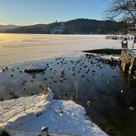 Apartment Waldrose Am Titisee-Neustadt