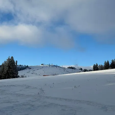 Waldrose Am Titisee-Neustadt